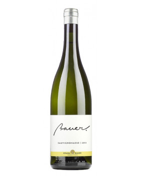 Bauer Sauvignonasse 2023 | Crama Bauer | Dragasani